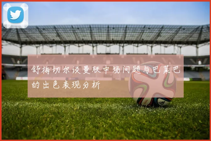舒梅切尔谈曼联中场问题与巴莱巴的出色表现分析